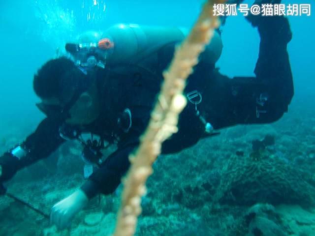 Vision Pro包装配件极为丰富 与苹果的环保理念大相径庭